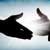 Using Lead Generation Companies